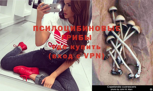 гашик Балахна