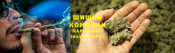 гашик Балахна