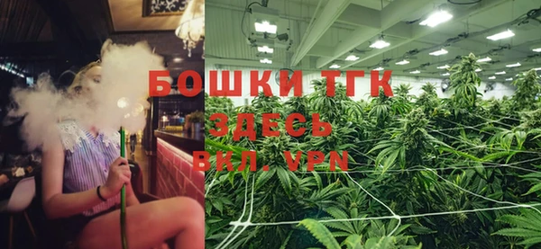гашик Балахна